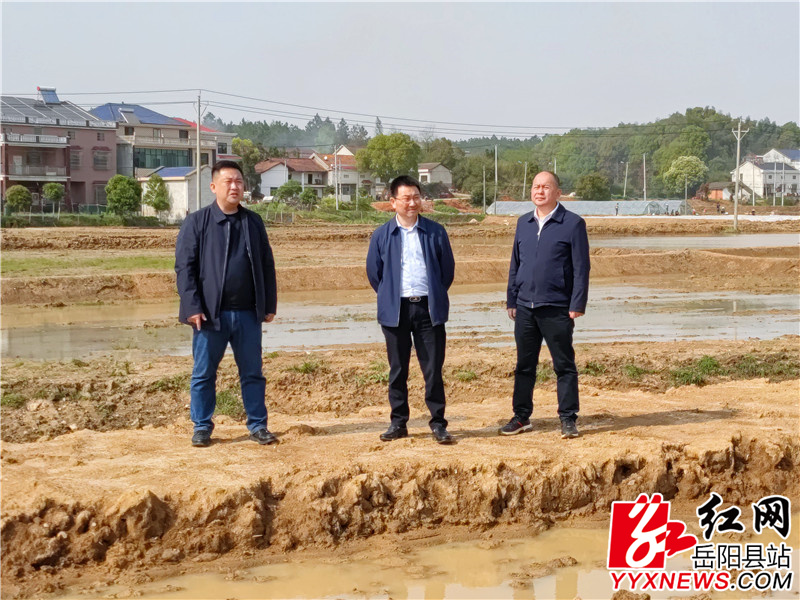察看高标准农田建设现场.jpg