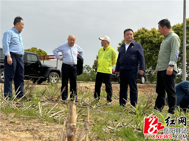 考察组在镉超标农田考察.jpg