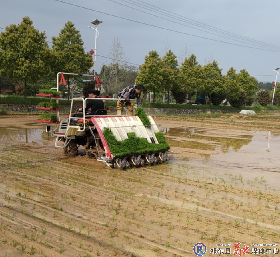 w_微信截图_20230410090202.png
