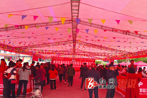 红网稿件图片2.jpg