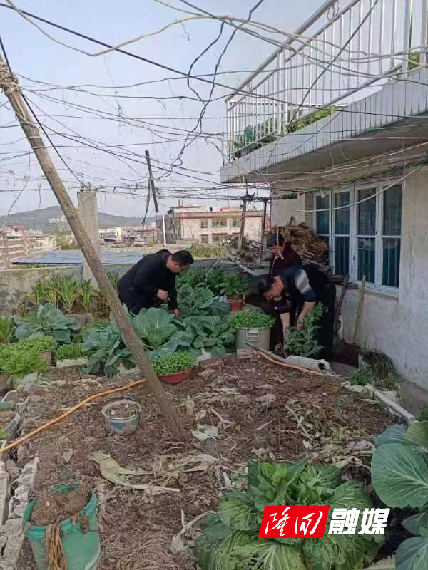 a2f15982d8e272695c39ed359d7cb9d.jpg a2f15982d8e272695c39ed359d7cb9d.jpg