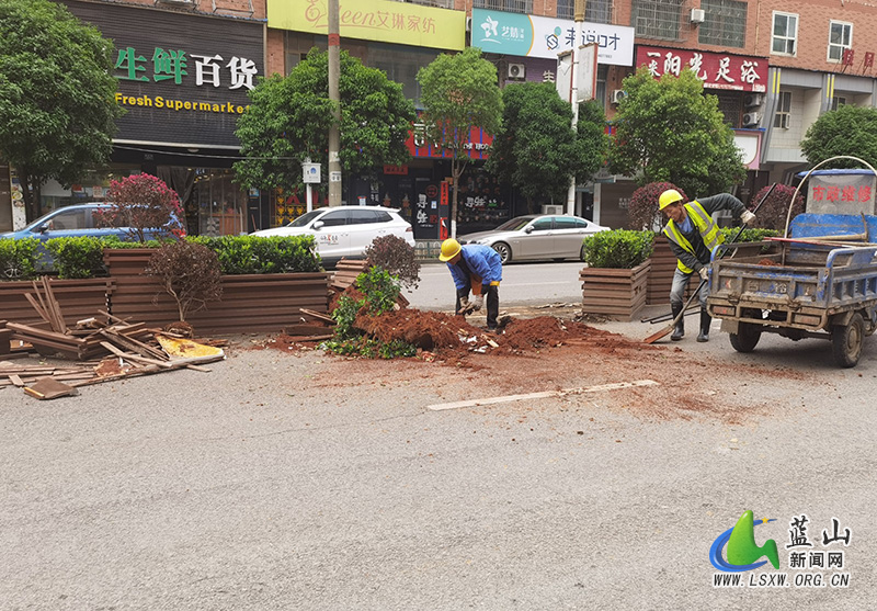 【交通顽瘴痼疾整治】蓝山城管：及时处置损毁花箱 确保道路安全畅通.jpg