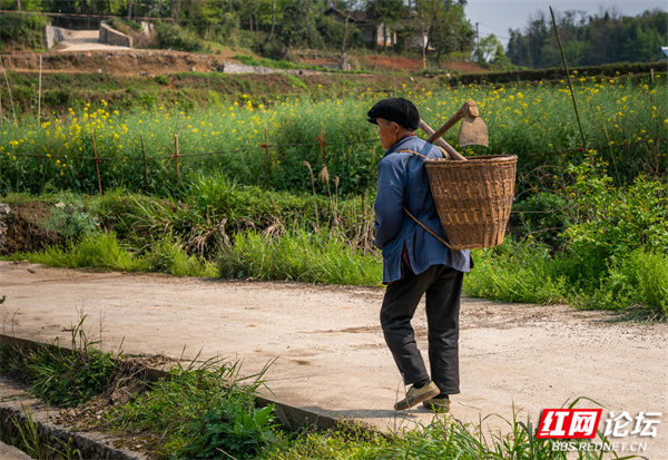 春耕、播种、农民 (8).jpg