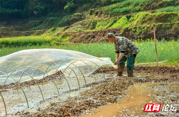春耕、播种、农民 (12).jpg