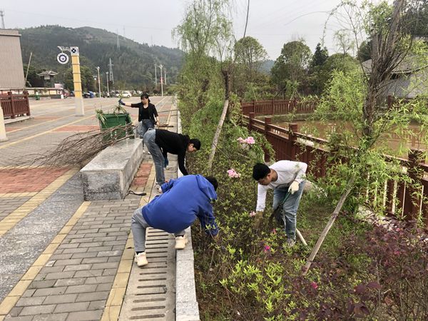 干部们在捡拾垃圾 (2)_副本.jpg