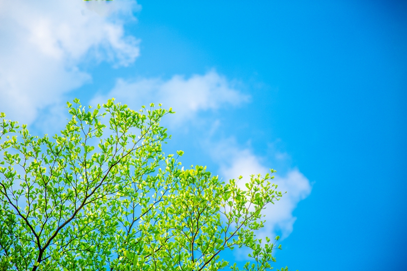 6231d022d9f96_副本.jpg 6231d022d9f96_副本.jpg