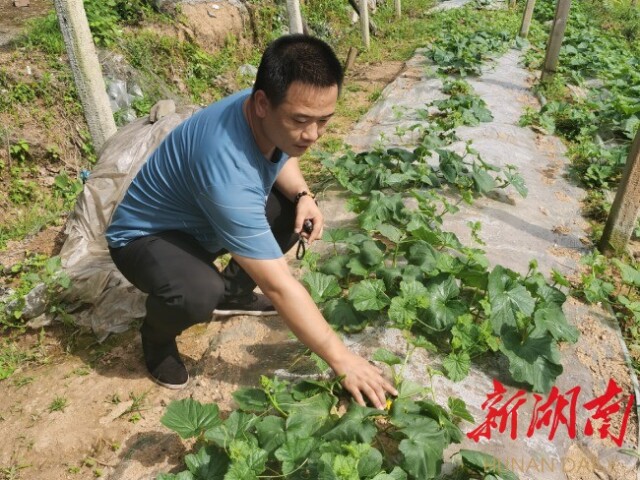 沅陵县千丘田村：党建引领力促乡村振兴，打造和美村居