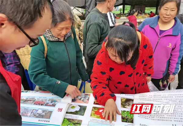 图片21.png