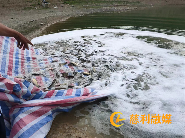 微信图片_20230221092330.jpg