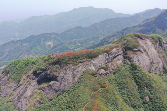 衡山：四月芳菲 翠鹫峰峦杜鹃正当红(2)406.png
