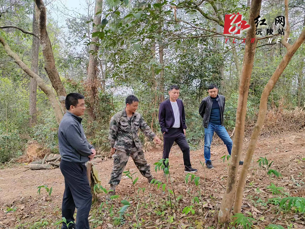 图片2.png 图片2.png