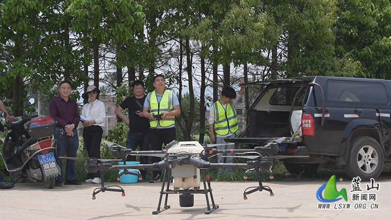 我县防治马尾松毛虫 保护森林生态安全1.jpg