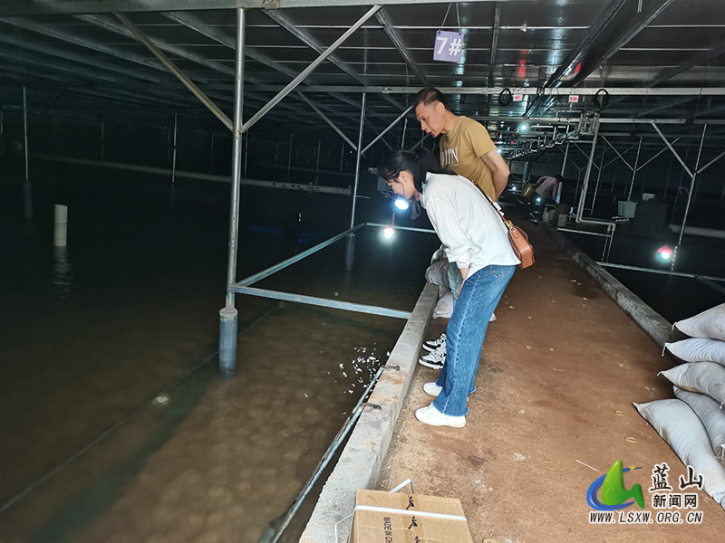 蓝山：鳗鱼养殖新产业 护航经济发展新气象2.jpg