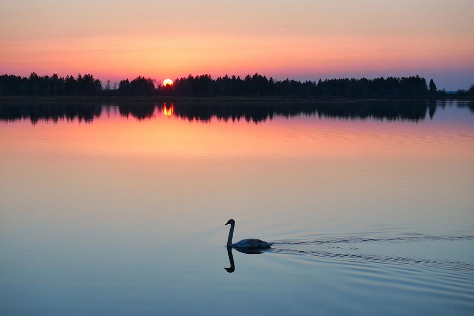 sunset-7096180_960_720.jpg