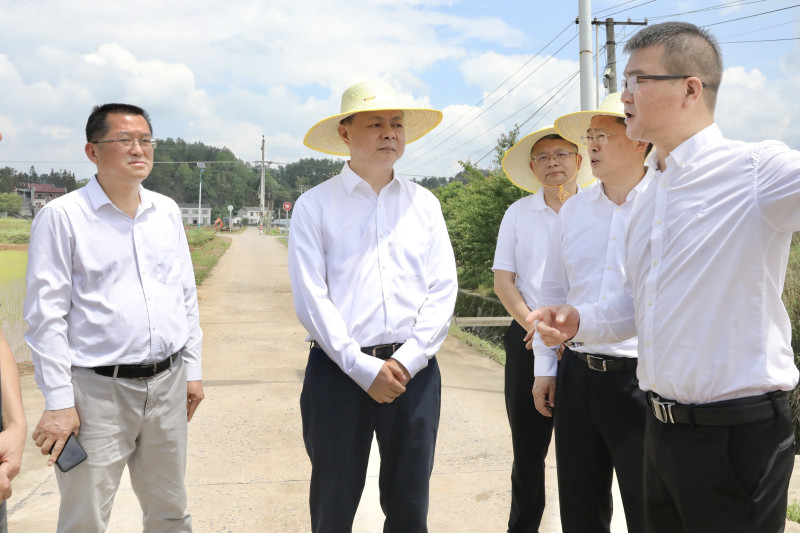 郑建新在官渡镇南岳村调研春耕生产工作。