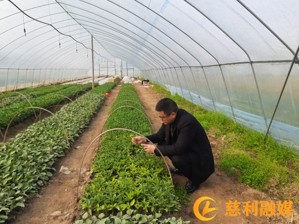 6f8952116e49e5eb2f7829782762a05_副本_副本.jpg