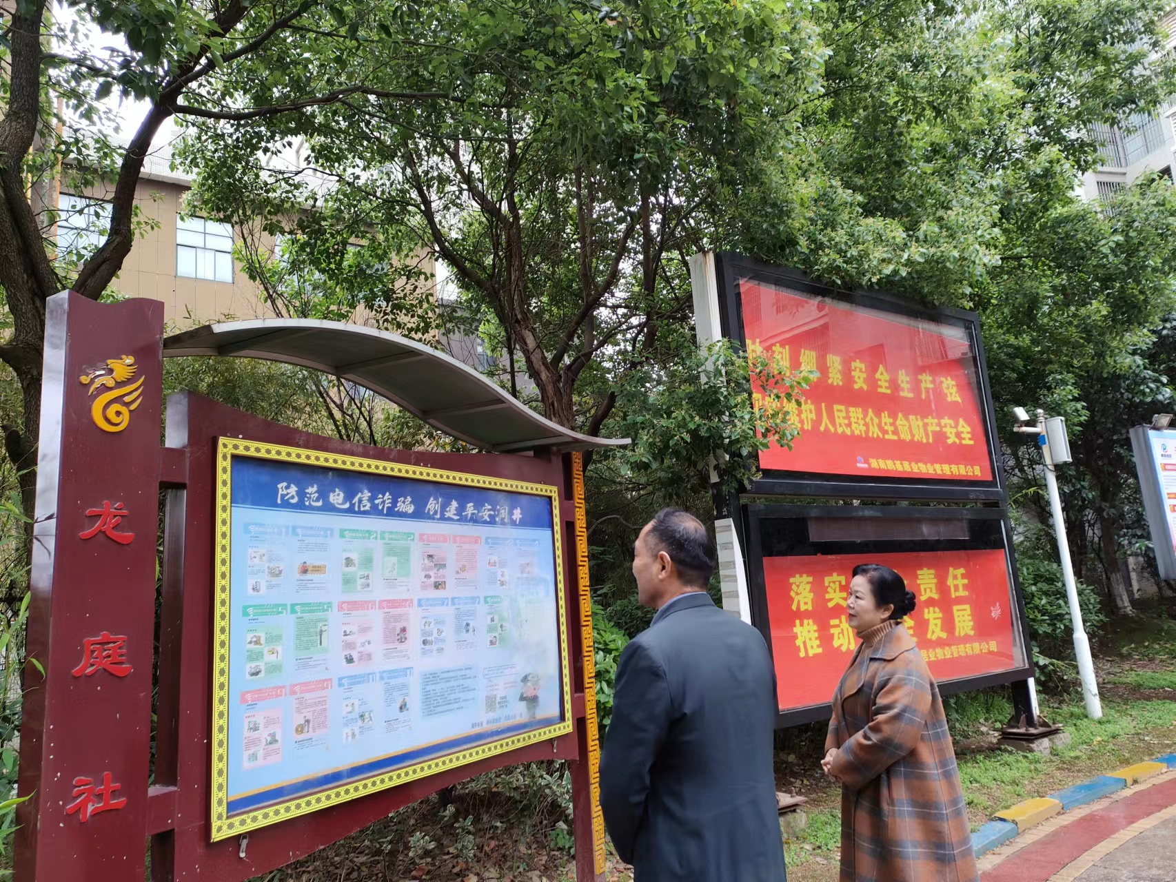 龙庭9.jpg 龙庭9.jpg