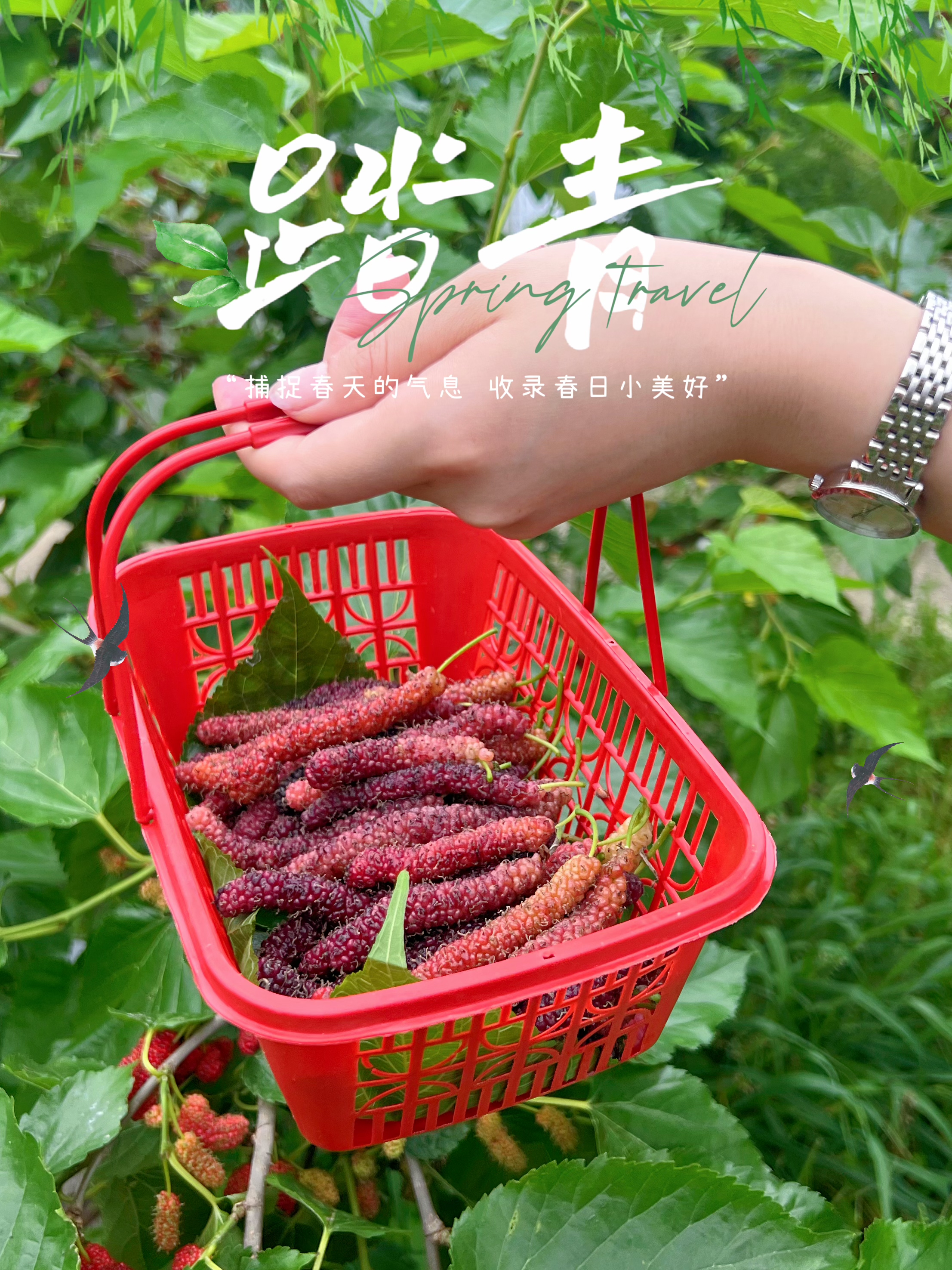 微信图片_20230421144939.jpg