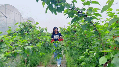 71cd829ebf5c4c70f2cbabc09a994155[00_00_02--00_00_05].gif