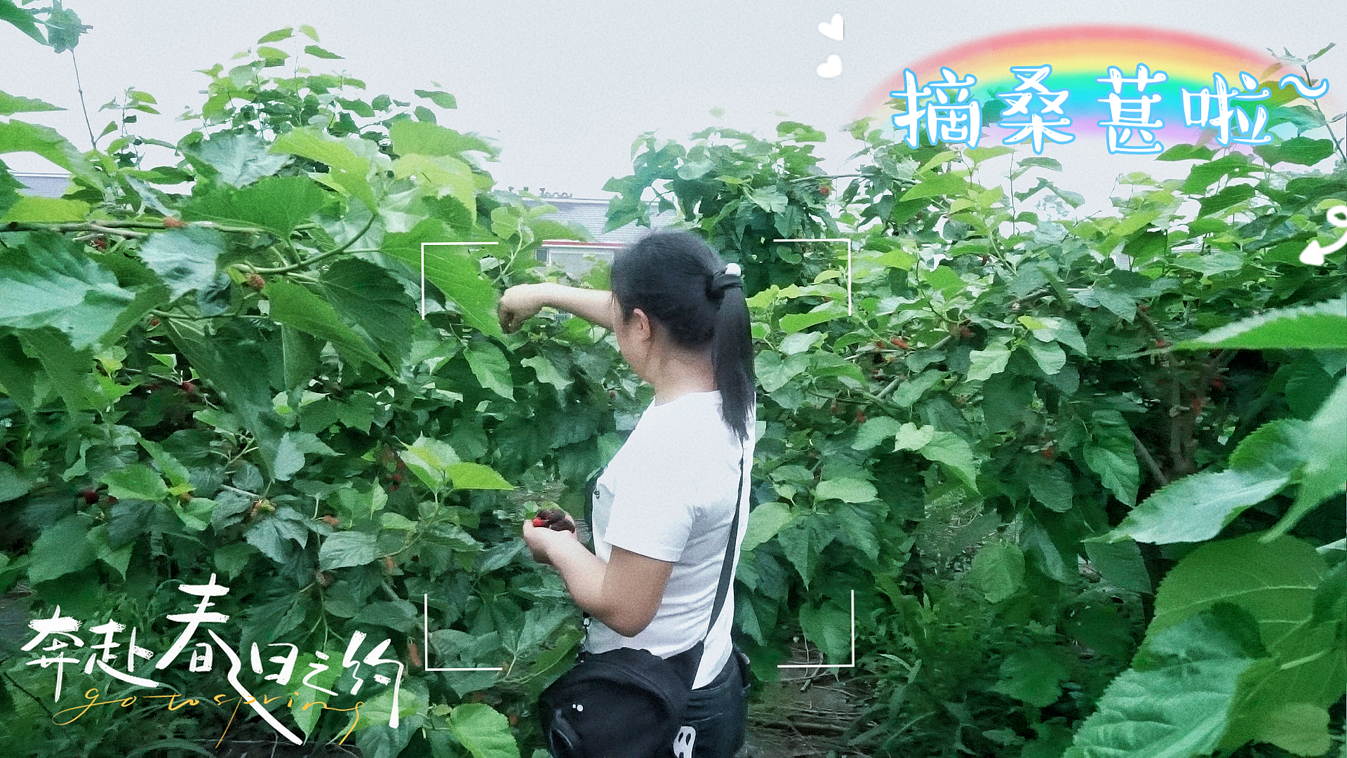 微信图片_20230421142739.png