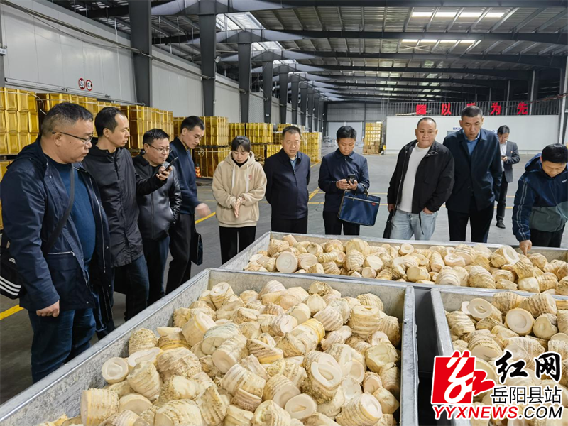 图片4 (15).png