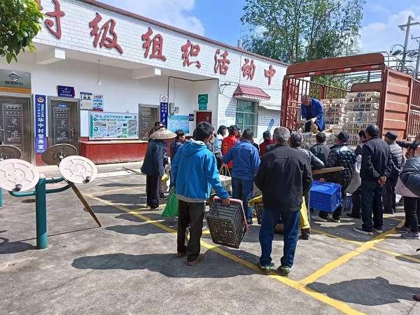 发放现场.jpg