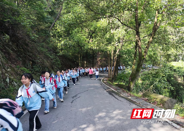 图片23.png