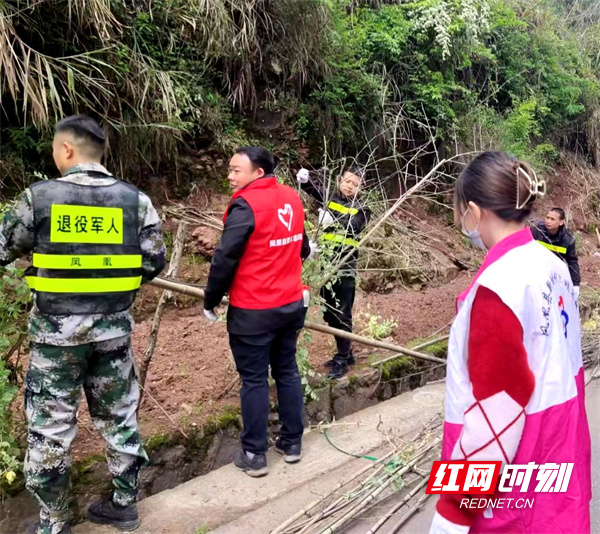 志愿者们对马路沿线的篱笆进行整治。.jpg