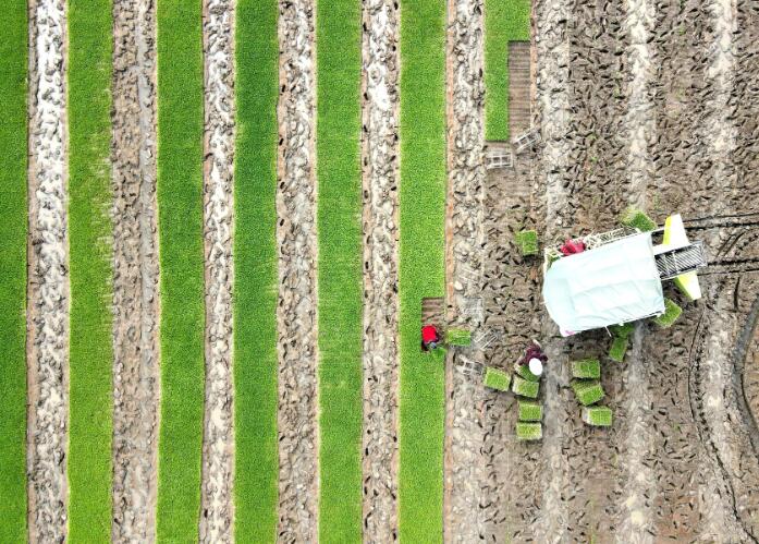 QQ截图20230427214817.jpg QQ截图20230427214817.jpg