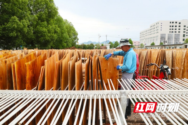 湖南新田：助企纾困促发展07.jpg