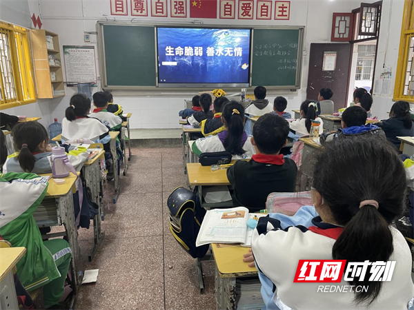 图片31.png