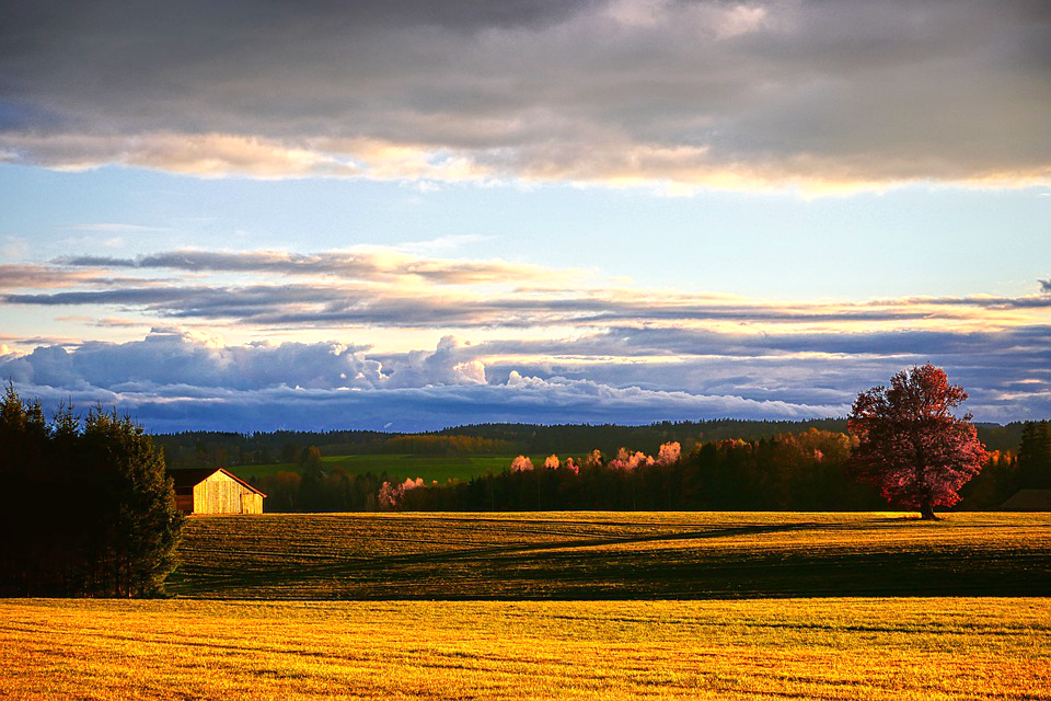 landscape-7605291_960_720.jpg landscape-7605291_960_720.jpg