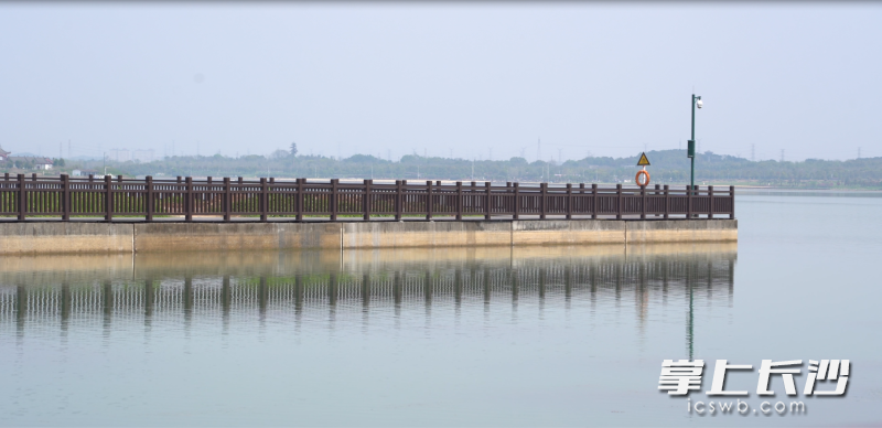 松雅湖国家湿地公园天鹅湖滨水栈道建成并对外开放。长沙晚报通讯员 杨源 摄