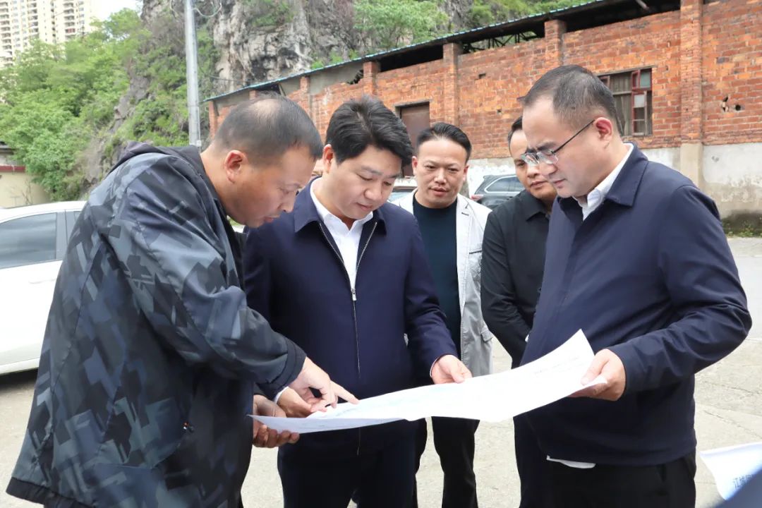 区领导带队调研重点项目推进工作(图1)