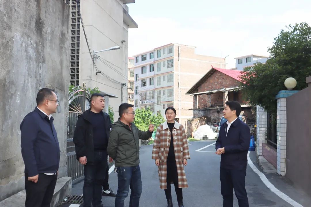 区领导带队调研重点项目推进工作(图2)