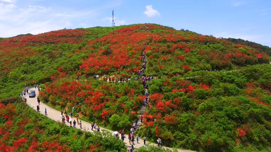 微信截图_20230505123218.png