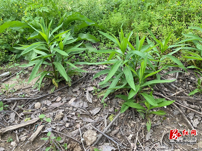微信图片_20230508110948.jpg