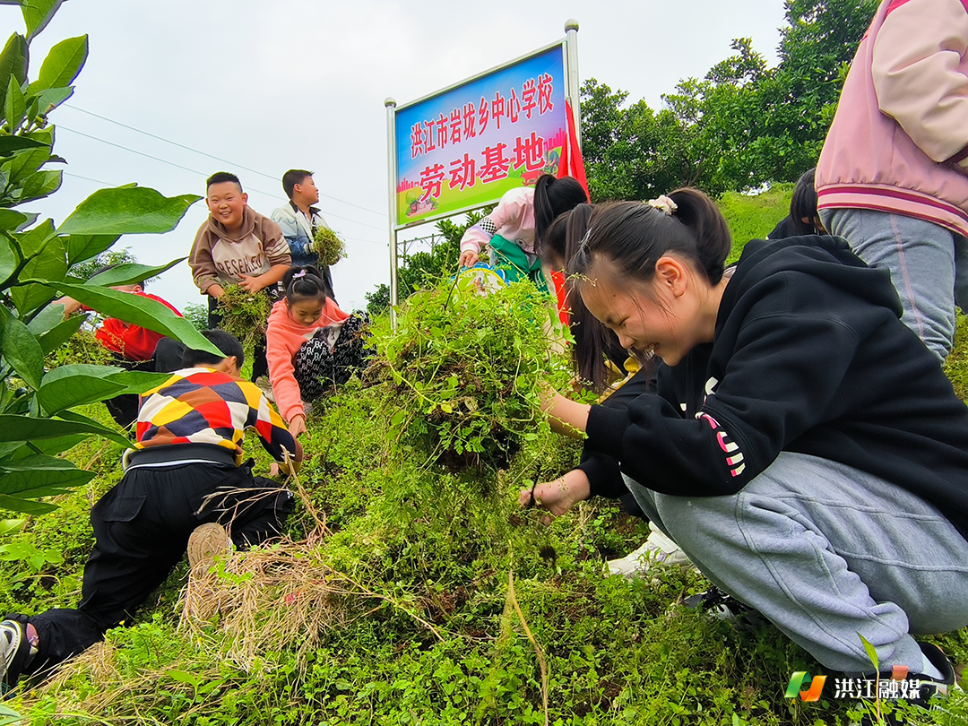 岩垅乡中心学校2.png