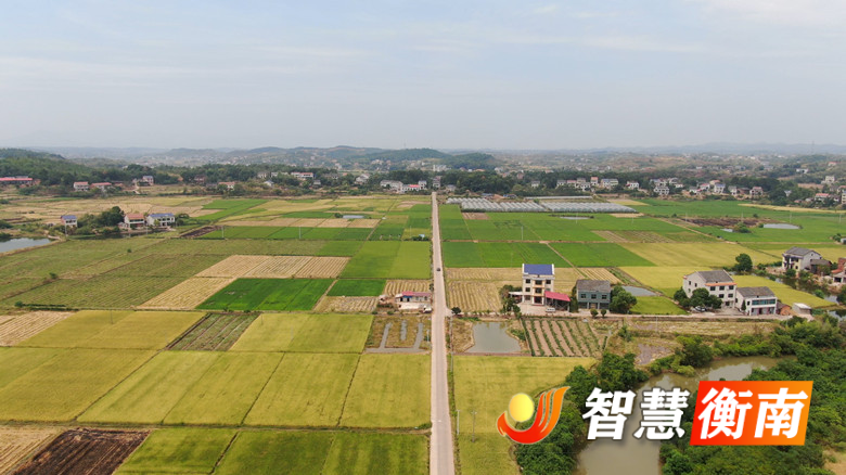 8518668f9de514f438a982940c3412f.jpg 8518668f9de514f438a982940c3412f.jpg