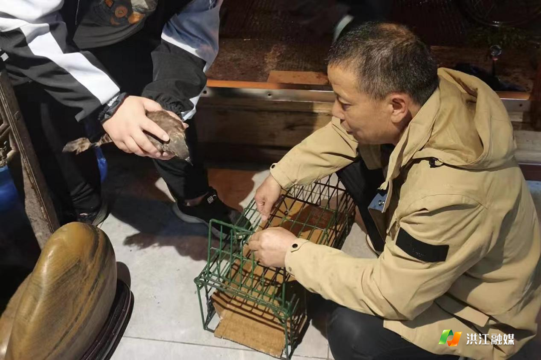 市林业局2.png