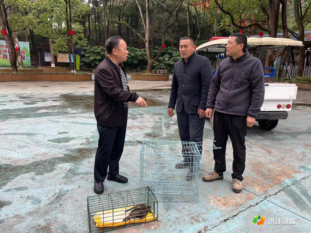 市林业局1.png