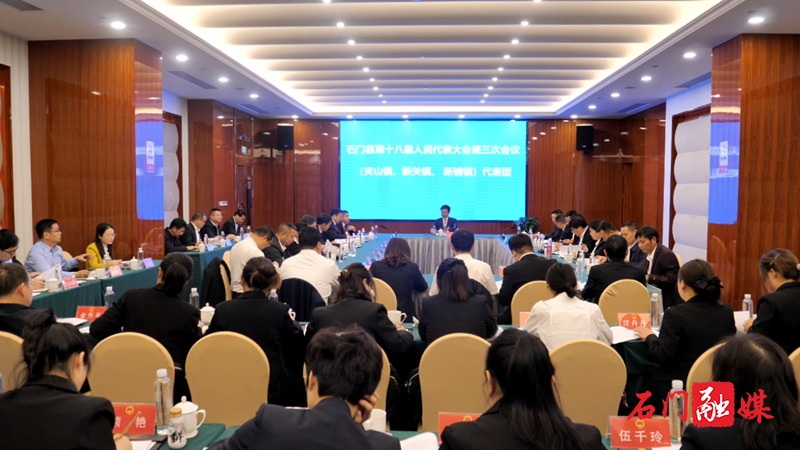 石门县第十八届人民代表大会第三次会议举行各代表团第三次和第四次会议1.png