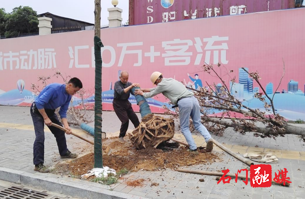 图片1.png 图片1.png