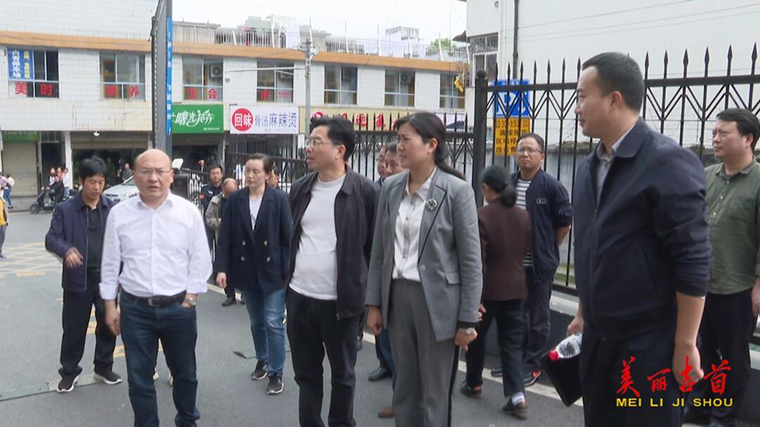 杨彦芳来吉调研文明城市创建工作1.jpg