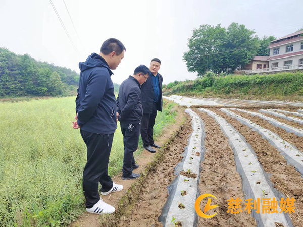 微信图片_20230511112415_副本.jpg