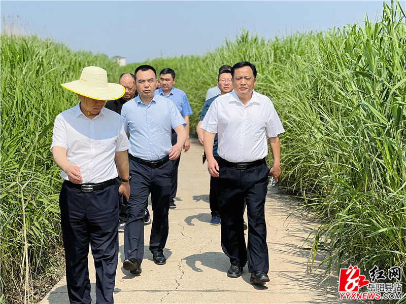 张忠新在芦苇场4_副本.jpg