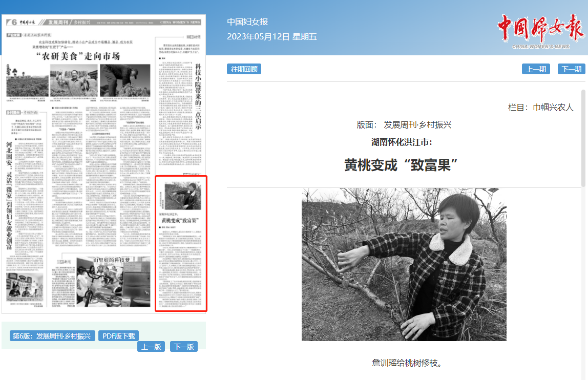 黄桃.png