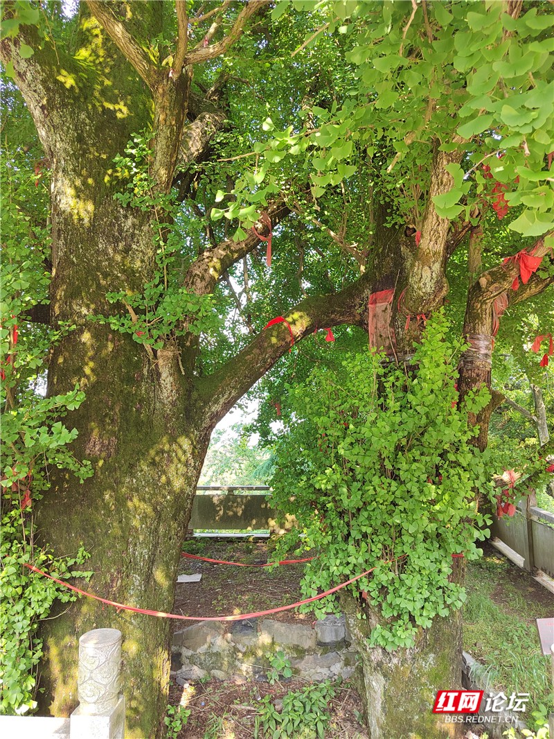 112237hoo5cqitqzs3wvws (1)_副本.jpg