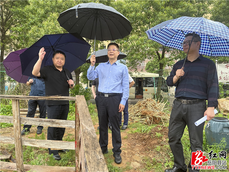 张赟一行实地察看_副本.jpg