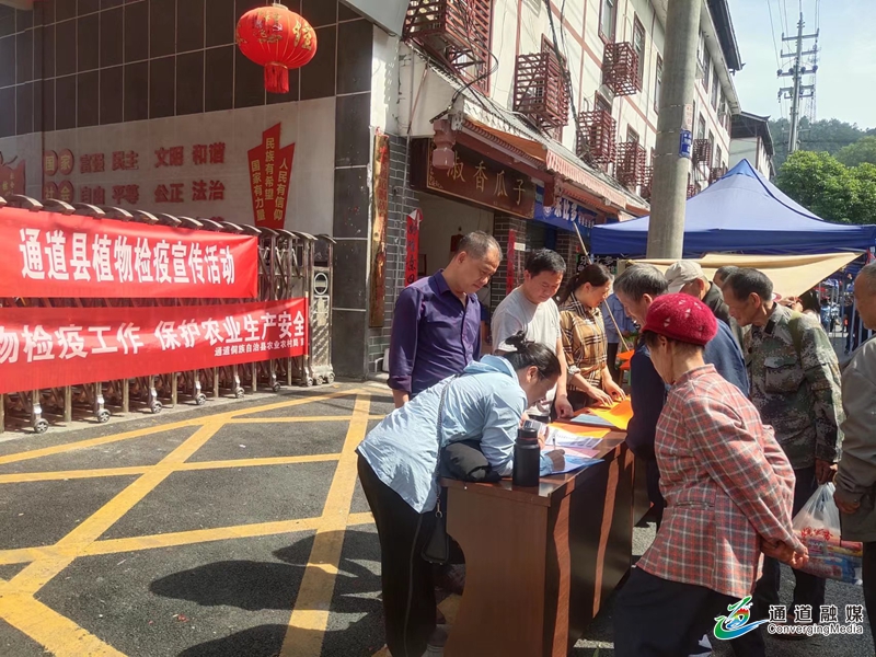 图片5.jpg 图片5.jpg